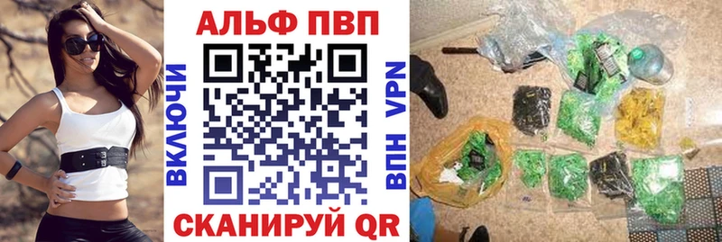 APVP СК  Надым 