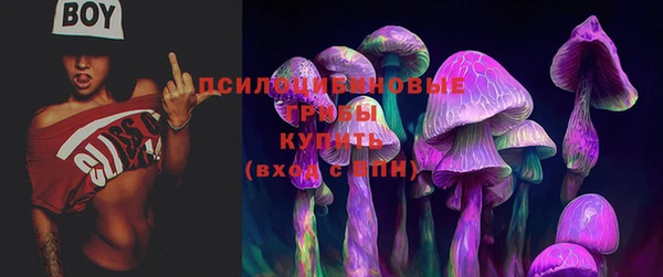 таблы Богородск