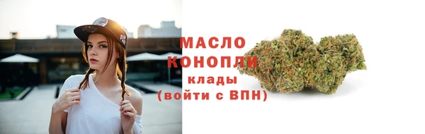 соль ск Богородицк